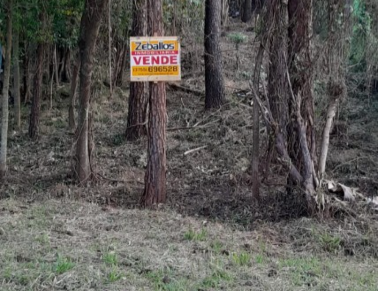 Terreno en venta