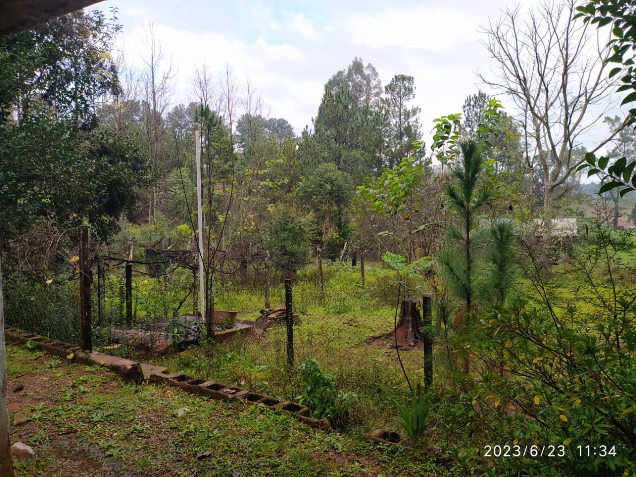 Lote con casa en Dos de Mayo