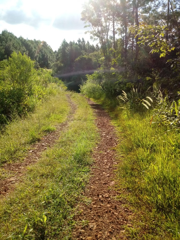 excelente chacra 25 ha