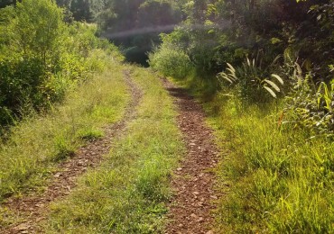 excelente chacra 25 ha